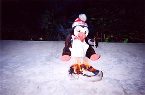 The Penguin, holding a match, looks on as a scrunchie burns.